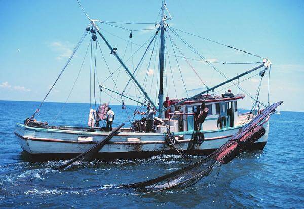  Fishing Vessels Plant  project feasibility